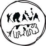 Krava 22 (RS)